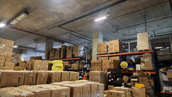 Pandan Avenue (D22), Warehouse #529138871